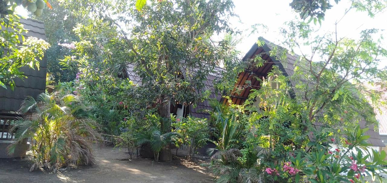 Hello Lumbung Homestay กิลิไอร์ ภายนอก รูปภาพ